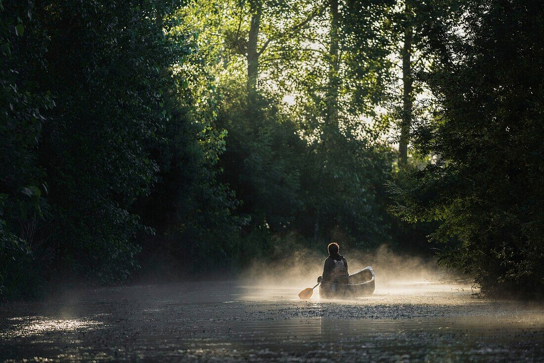 France, Morbihan, La Gacilly, kayaker in the marsh mist at Glenac