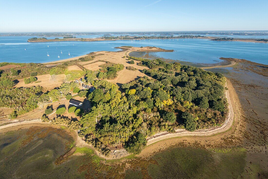 France, Morbihan, Ile-d'Arz, aerial view of the Gulf of Morbihan and the island of Ilur