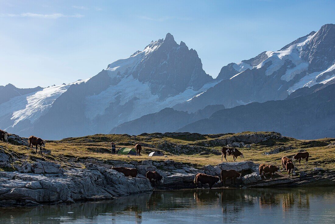 France, Hautes Alpes, la Grave, on the plateau of Emparis the Black Lake facing the massif of Meije