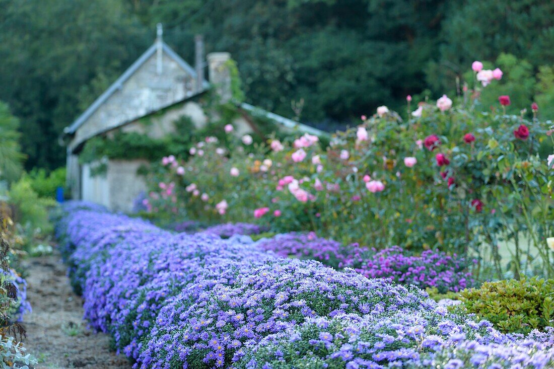 Frankreich, Morbihan, Langonnet, Garten der Abtei Notre-Dame de Langonnet