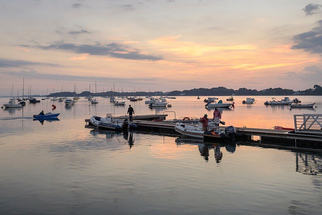 France, Morbihan, Sarzeau, the port of Logeo at sunrise