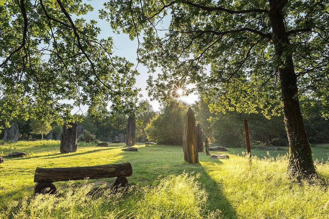 Frankreich, Morbihan, Monteneuf, die megalithische Domäne der Geraden Steine bei Sonnenaufgang