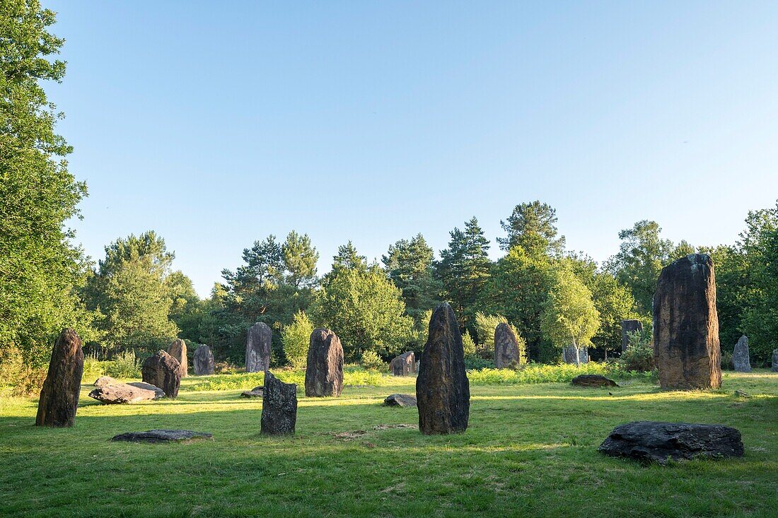 Frankreich, Morbihan, Monteneuf, die megalithische Domäne der Geraden Steine bei Sonnenaufgang