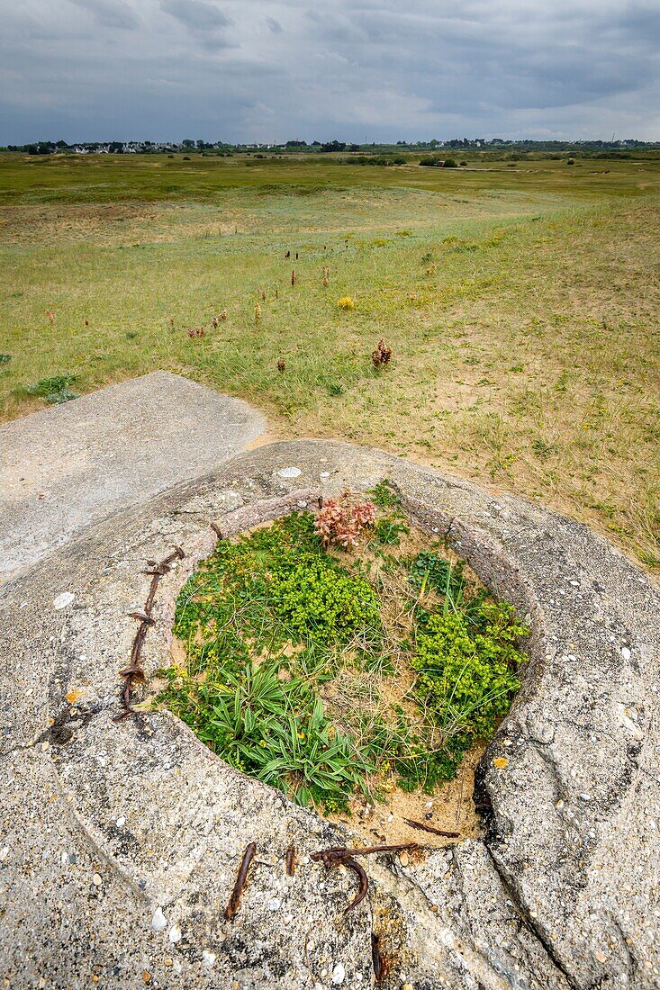 France, Morbihan, Plouharnel, vestige of bunker along the coastline of Sainte-Barbe under a stormy sky