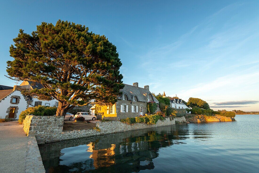 France, Morbihan, Belz, Saint-Cado island on Etel river at sunset