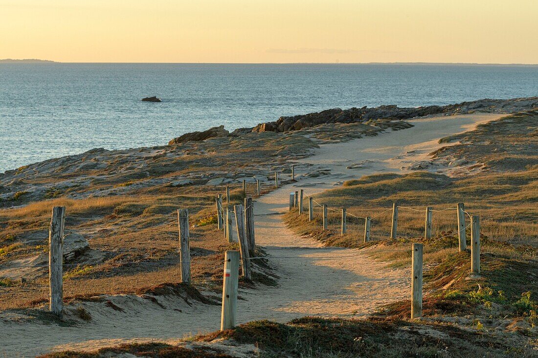 France, Morbihan, Saint-Pierre-Quiberon, path on the tip of Percho at sunset