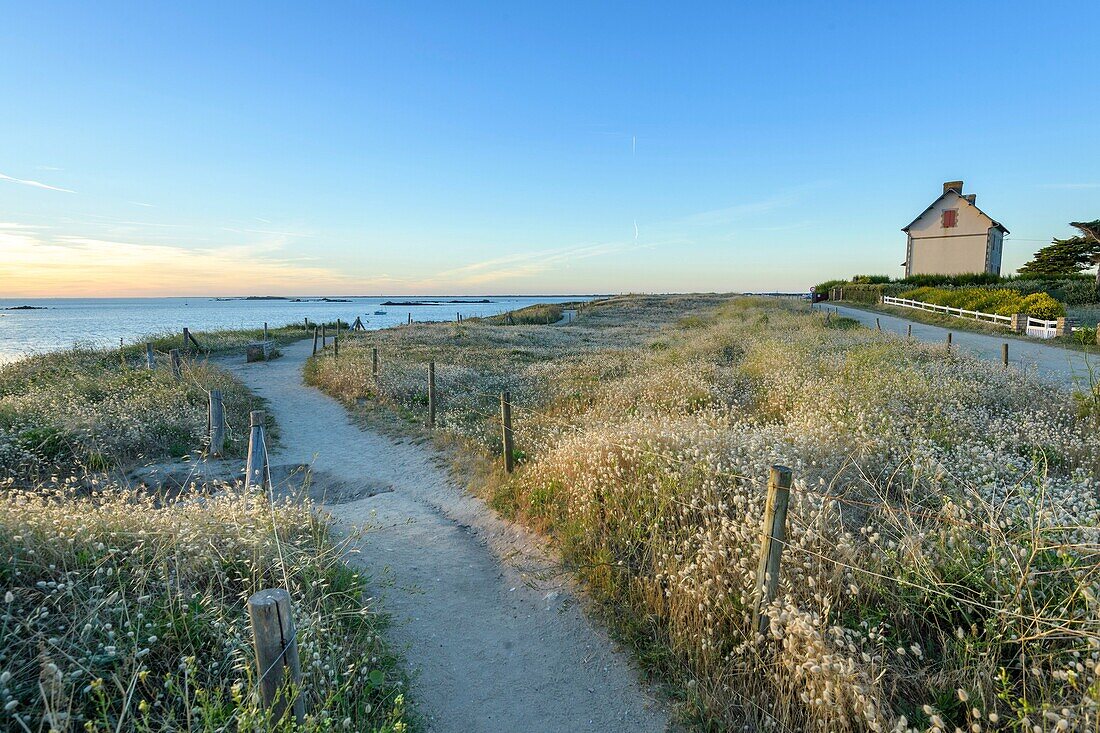 France, Morbihan, Saint-Pierre-Quiberon, the island walk on a summer evening