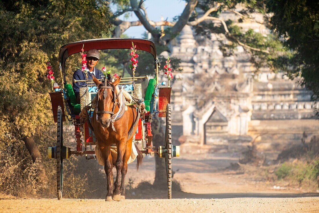 Myanmar (Burma), Region Mandalay, buddhistische archäologische Stätte von Bagan, die von der UNESCO zum Weltkulturerbe erklärt wurde, Cariole zu Pferd zur Besichtigung der Stätte