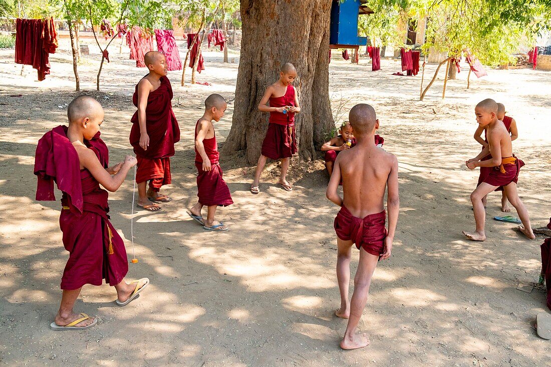 Myanmar (Burma), Mandalay region, Buddhist archeological site of Bagan, young novices in a monasyere playing football