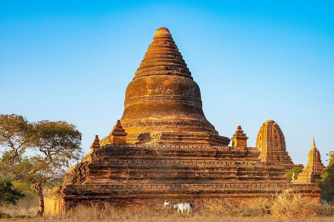 Myanmar (Burma), Region Mandalay, Bagan, von der UNESCO zum Weltkulturerbe erklärt, buddhistische Ausgrabungsstätte