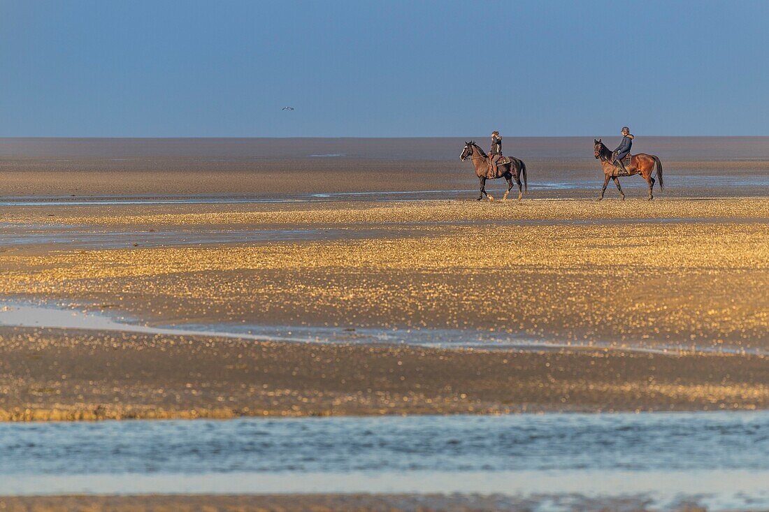 France, Somme, Baie de Somme, Natural Reserve of the Baie de Somme, Le Crotoy, horseback riders walk in the bay at low tide (Baie de Somme)