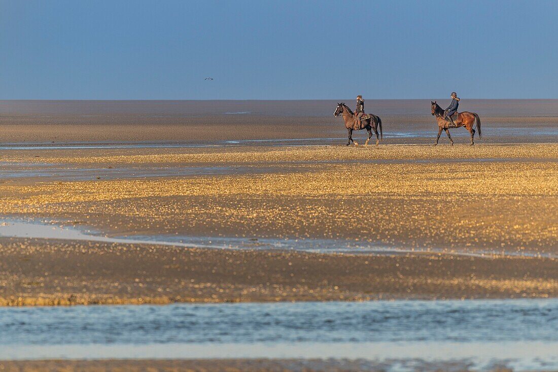 Frankreich, Somme, Baie de Somme, Naturschutzgebiet der Baie de Somme, Le Crotoy, Reiter spazieren in der Bucht bei Ebbe (Baie de Somme)