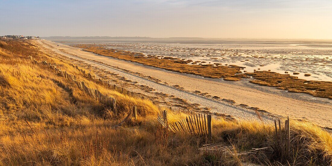 France, Somme, Baie de Somme, Le Crotoy, the Crotoy beach and the Baie de Somme seen from the dunes that line the bay