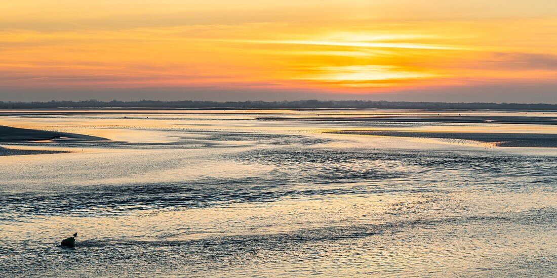 France, Somme, Baie de Somme, Le Crotoy, the panorama on the Baie de Somme at sunset at low tide while many birds come to feed in the creeps