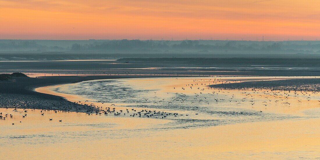 France, Somme, Baie de Somme, Dawn on the bay from the quays of Saint-Valery along the channel of the Somme