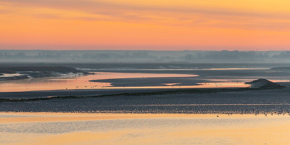 Frankreich, Somme, Baie de Somme, Morgendämmerung in der Bucht von den Kais von Saint-Valery am Kanal der Somme