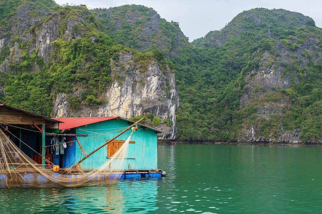 Vietnam, Golf von Tonkin, Provinz Quang Ninh, Ha-Long-Bucht (Vinh Ha Long), von der UNESCO zum Weltkulturerbe erklärt (1994), schwimmendes Haus der Fischer