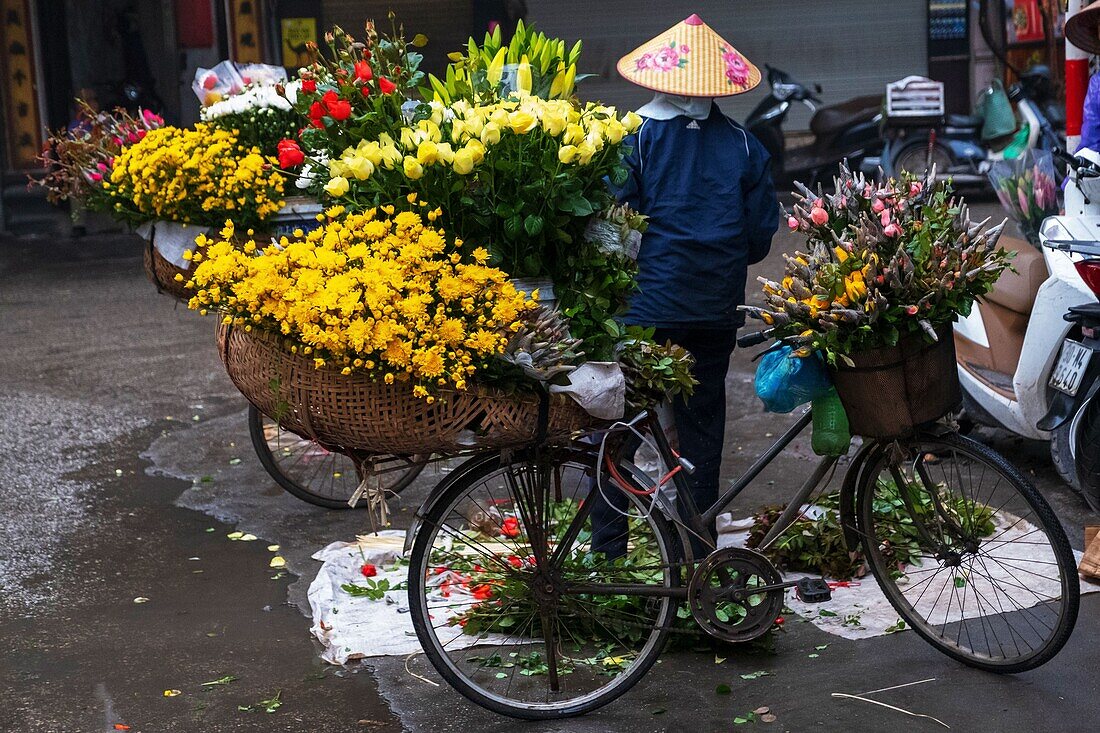Vietnam, Rotes Flussdelta, Hanoi, fahrender Blumenhändler auf dem Fahrrad