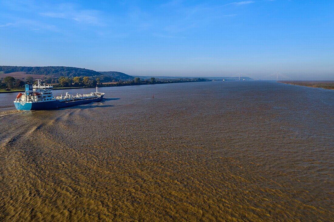 France, Seine Maritime, Natural Reserve of the Seine estuary, cargo ship going down the Seine from Rouen, the Normandie bridge in the background (aerial view)