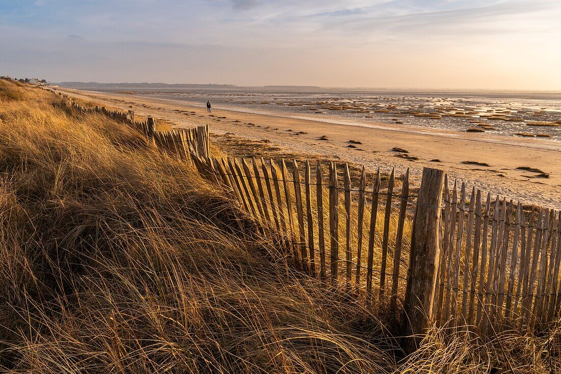 Frankreich, Somme, Baie de Somme, Le Crotoy, der Crotoy Strand und die Baie de Somme von den Dünen aus gesehen, die die Bucht säumen