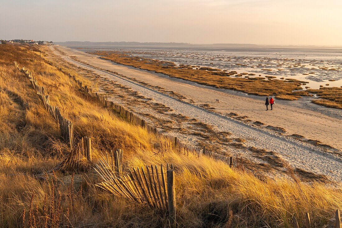 Frankreich, Somme, Baie de Somme, Le Crotoy, der Crotoy Strand und die Baie de Somme von den Dünen aus gesehen, die die Bucht säumen