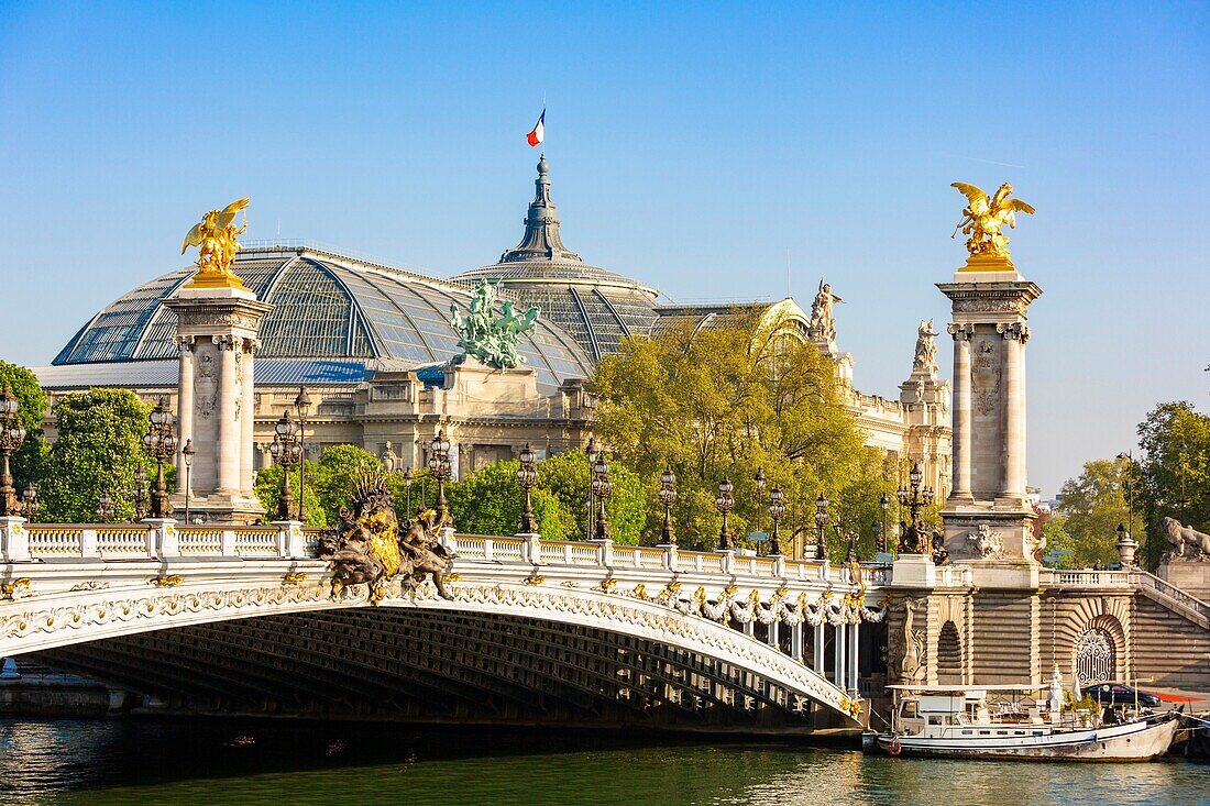 Frankreich, Paris, von der UNESCO zum Weltkulturerbe erklärtes Gebiet, die Brücke Alexandre III und der Grand Palais