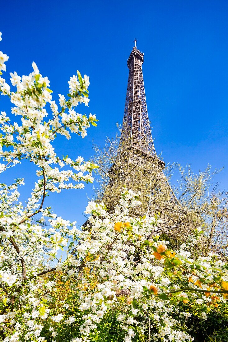 Frankreich, Paris, von der UNESCO zum Weltkulturerbe erklärtes Gebiet, der Eiffelturm