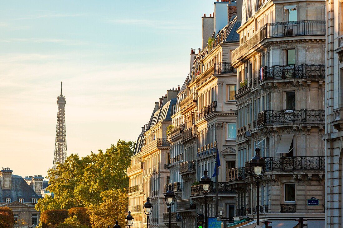 France, Paris, Haussmann buildings in the 7th arrondissement and the Eiffel Tower