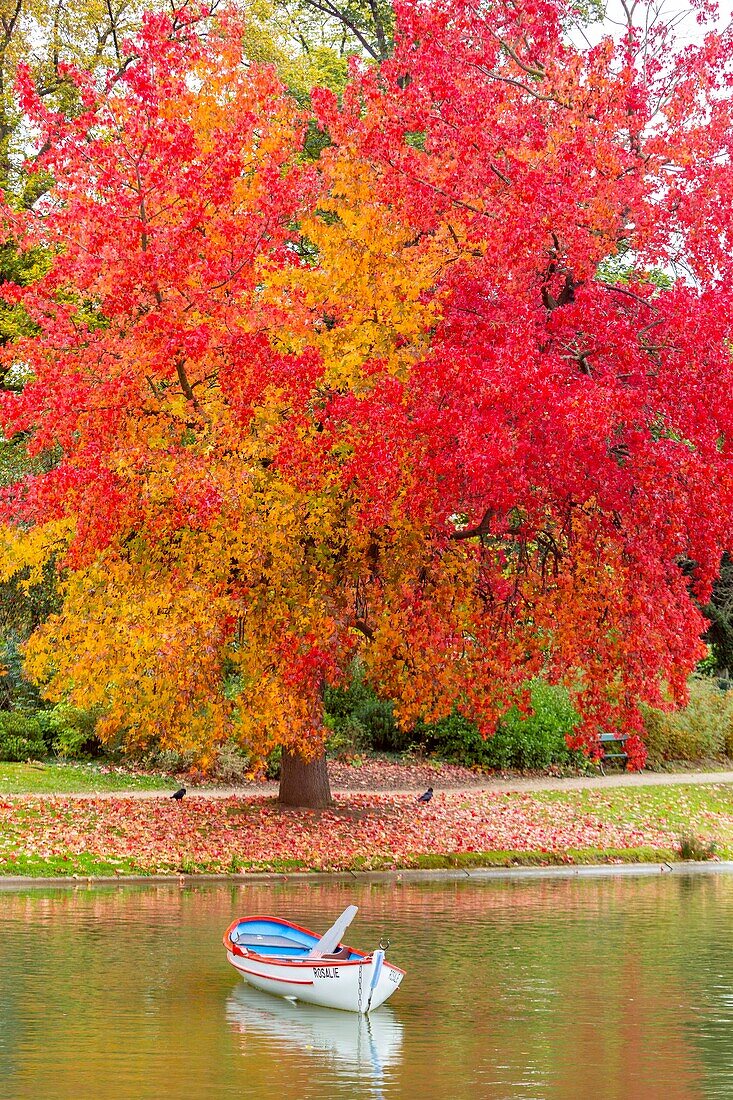 France, Paris, the Bois de Vincennes in autumn, Lake Daumesnil