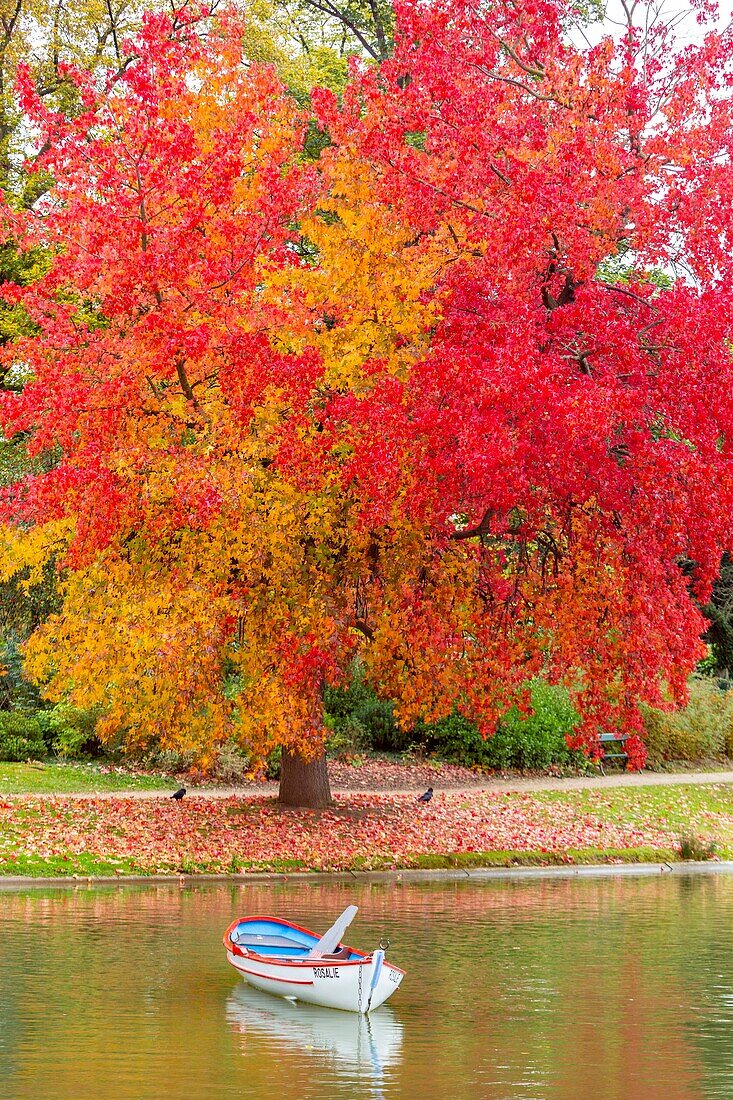 Frankreich, Paris, der Bois de Vincennes im Herbst, der Daumesnil-See