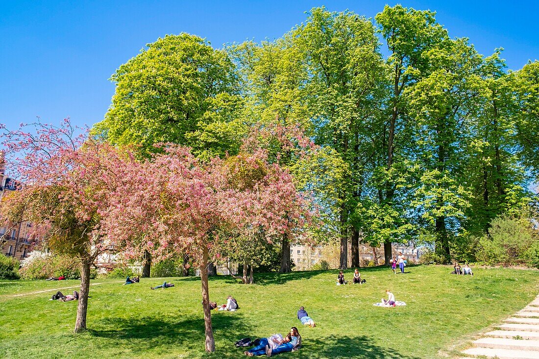 France, Paris, the Bois de Vincennes in front of Saint-Mandé lake, cherry blossoms