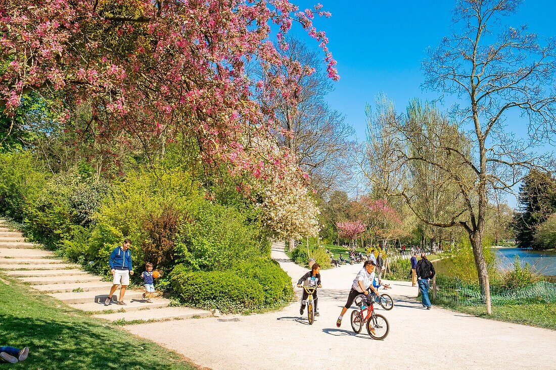 France, Paris, the Bois de Vincennes in front of Lake Saint Mande