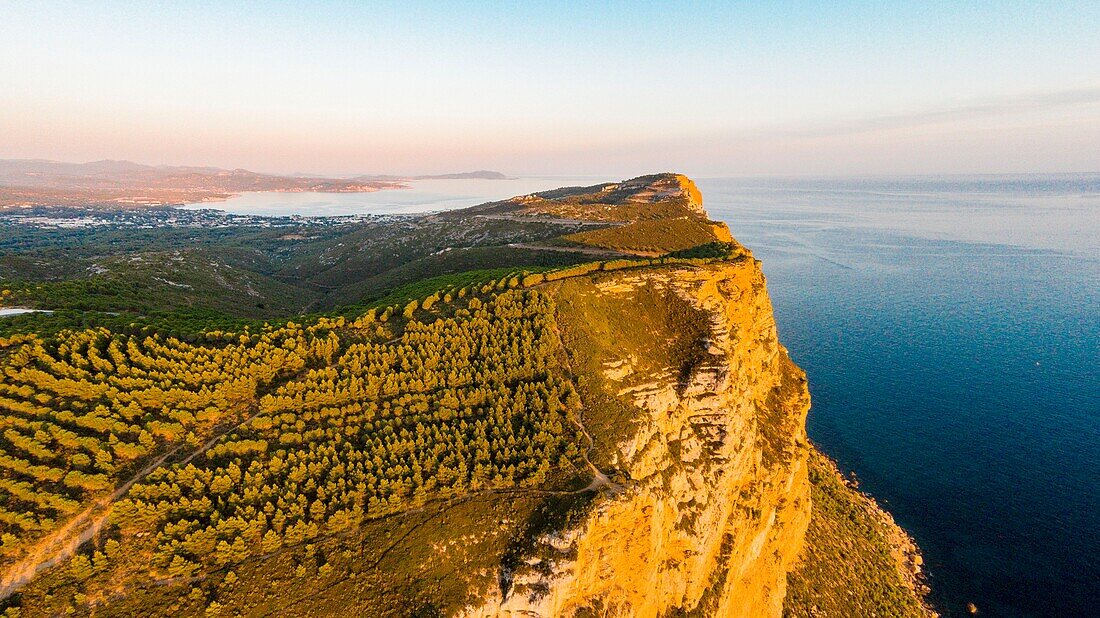 France, Bouches du Rhone, Cassis, Calanques National Park, the Cap Canaille the highest maritime cliff in Europe between La Ciotat and Cassis (aerial view)