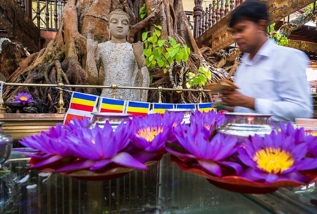 Sri Lanka, Colombo, Stadtteil Wekanda, buddhistischer Gangaramaya-Tempel