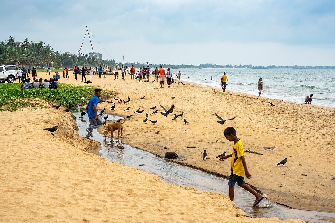 Sri Lanka, Western province, Negombo, Negombo beach