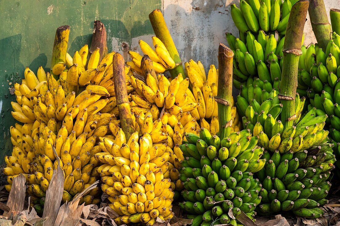 Sri Lanka, Westprovinz, Negombo, sonntäglicher Straßenmarkt