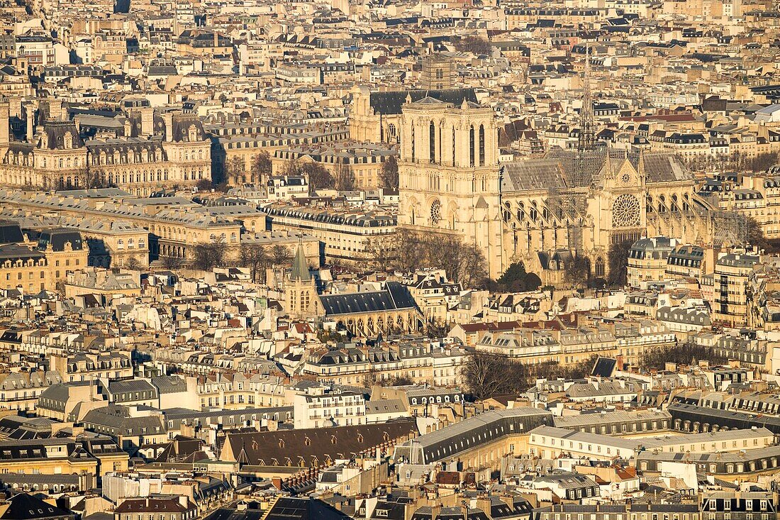 Frankreich, Pariser Gebiet, das von der UNESCO zum Weltkulturerbe erklärt wurde, Kathedrale Notre-Dame