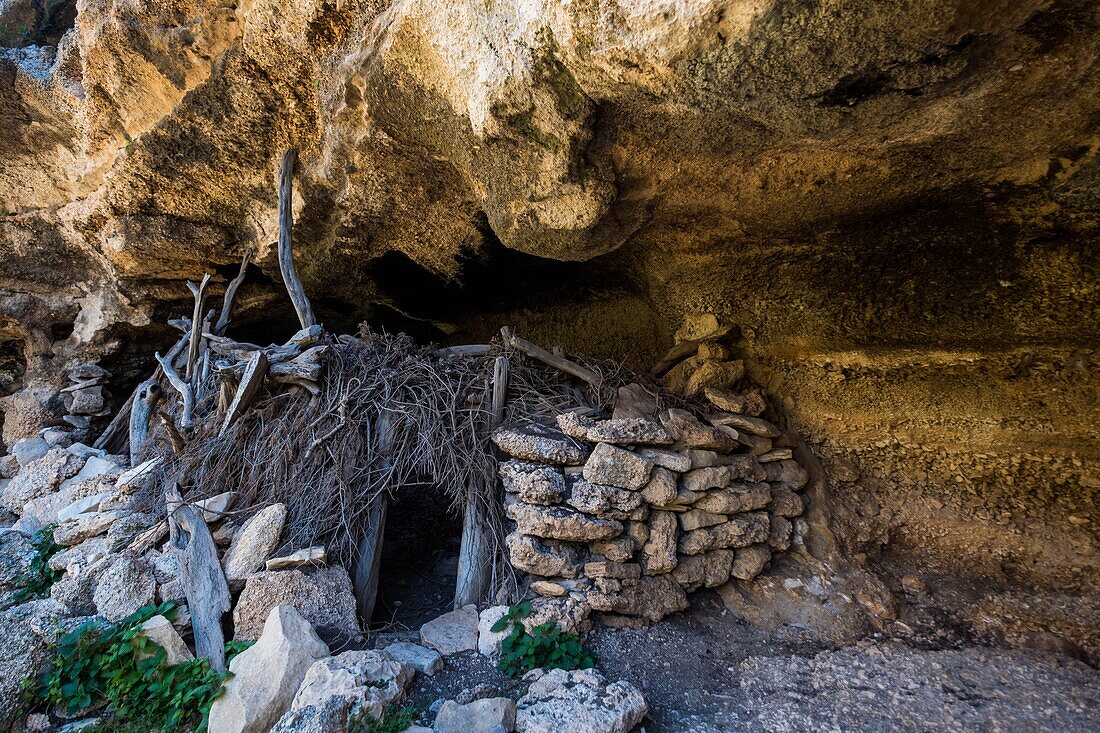 Italy, Sardinia, Baunei, Orosei Gulf, trek towards Cala Goloridze, coile or traditional shepherd's hut in stones and branches