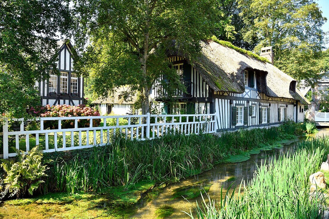 France, Seine Maritime, Pays de Caux, Cote d'Albatre (Alabaster Coast), Veules les Roses, The Most Beautiful Villages of France, the village of Veules les Roses is crossed by the Veules, famous river for the short length of its course (1100 m), cottage on the banks of the Veules