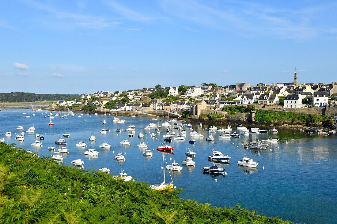 France, Finistere, Iroise see, Armorique Regional natural park, Le Conquet, the harbour