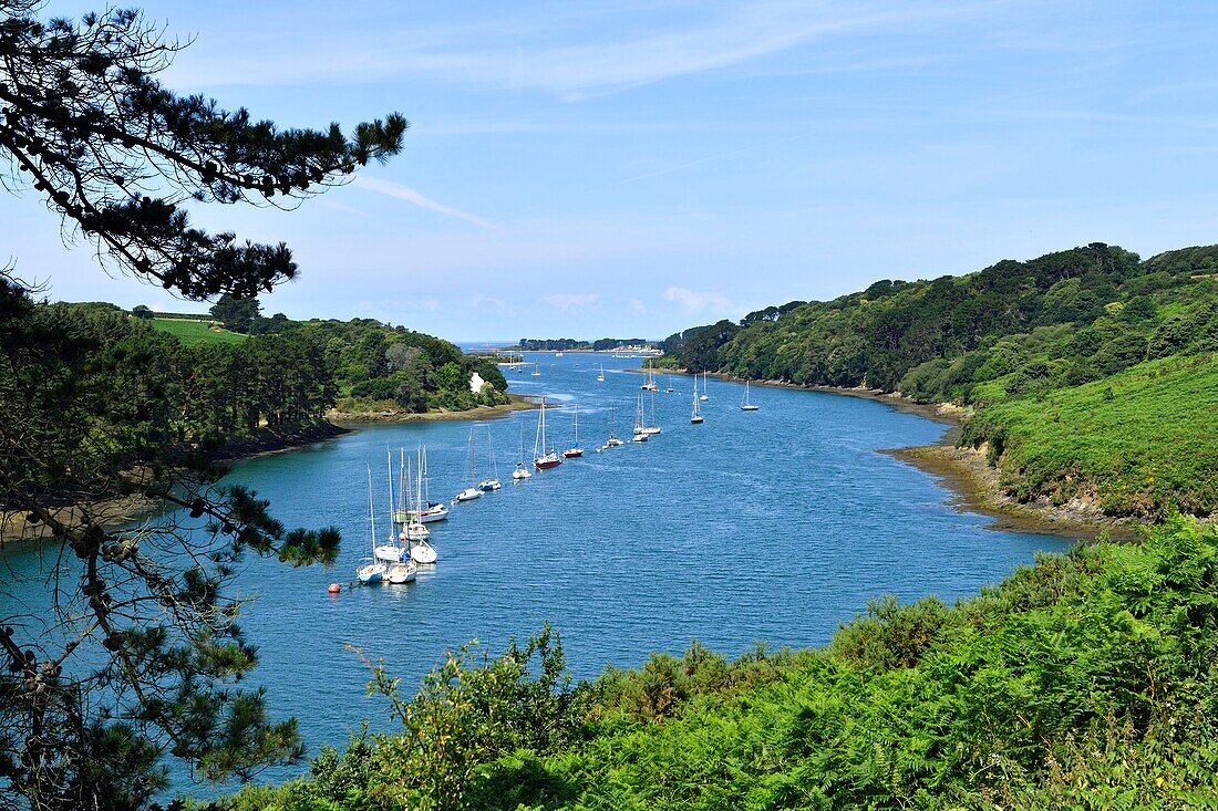 France, Finistere, Pays des Abers, Legends Coast, Plouguerneau, Aber Wrac'h near Paluden