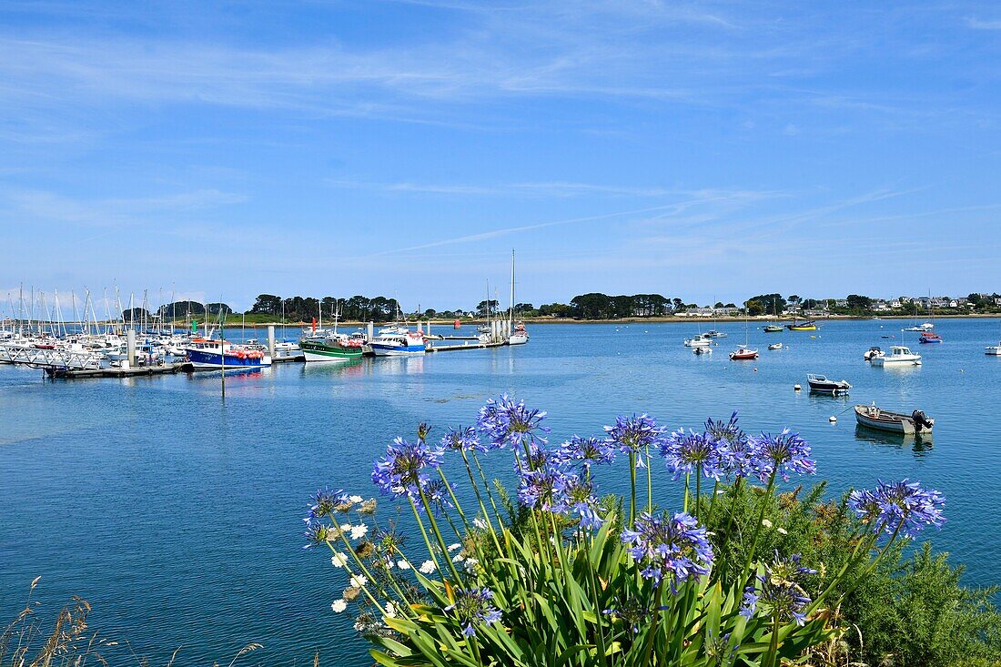 France, Finistere, Pays des Abers, Legends Coast, Plouguerneau, Aber Wrac'h port