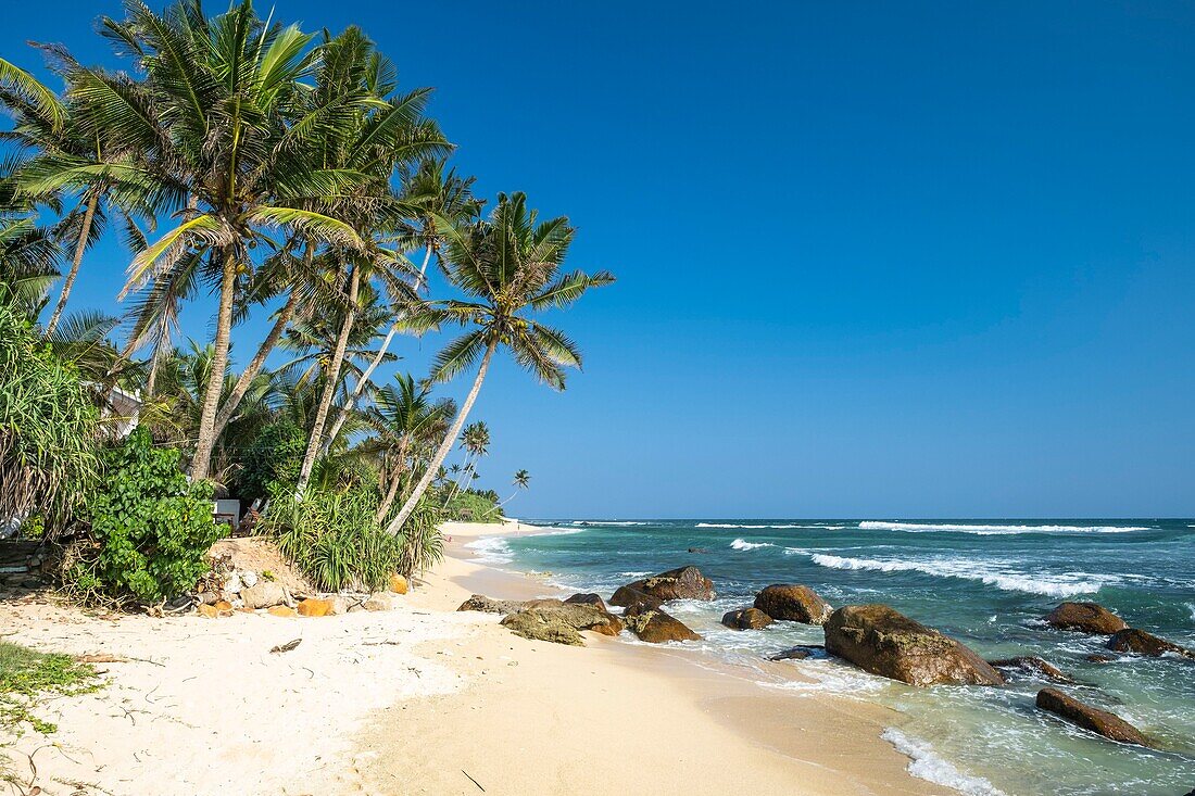 Sri Lanka, Southern province, Matara, Madiha beach