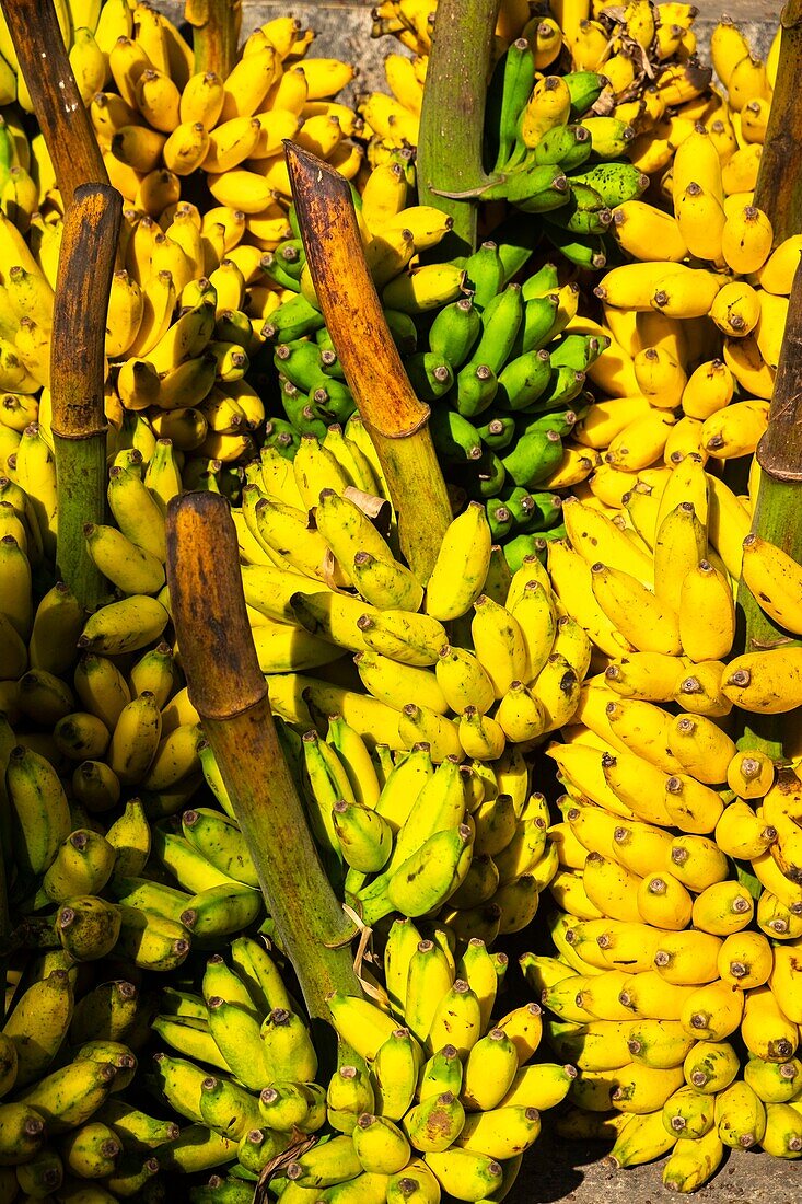 Sri Lanka, Southern province, Matara, fruit and vegetables market