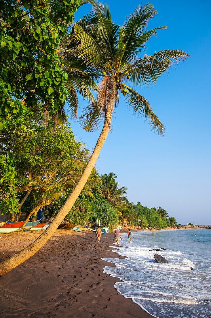 Sri Lanka, Southern province, Mirissa, Mirissa beach