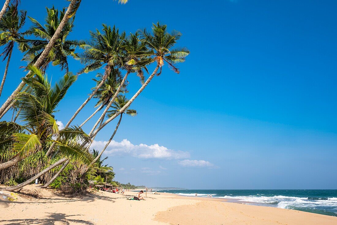 Sri Lanka, Südprovinz, Tangalle, Marakolliya-Strand