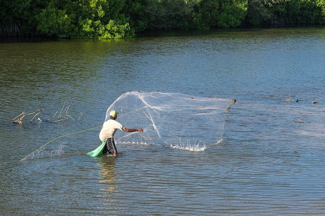 Sri Lanka, Southern province, Tangalle, fisherman in Rekawa lagoon