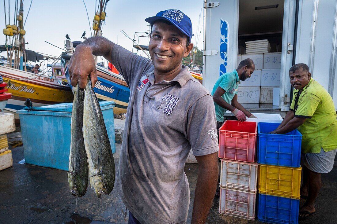 Sri Lanka, Südprovinz, Tangalle, der Fischereihafen, Fischmarkt