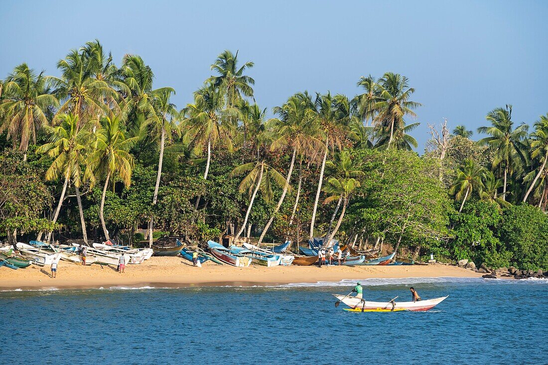 Sri Lanka, Southern province, Tangalle, beach close to the fishing harbour