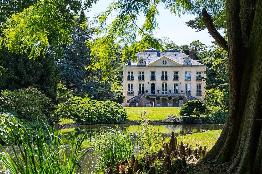 Frankreich, Hauts de Seine, Chatenay Malabry, Arboretum de la Vallee Aux Loups